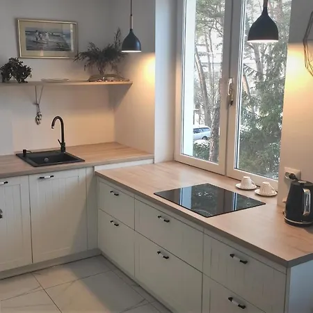 Pod Sosnami 公寓 *