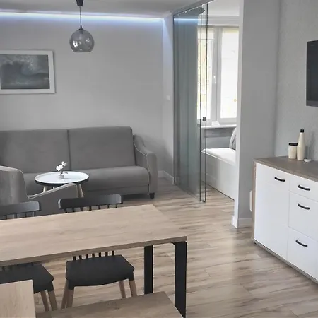 Pod Sosnami 公寓 拉塔